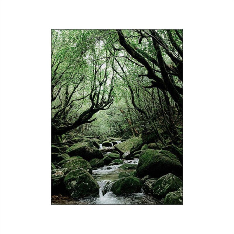 Forest Landscape Canvas Art