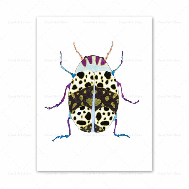 Watercolor Beetle Bug Butterfly Dragonfly Canvas Art