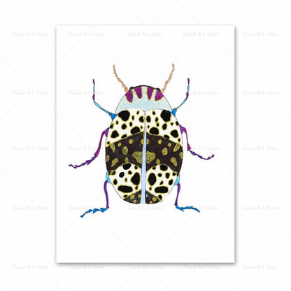 Watercolor Beetle Bug Butterfly Dragonfly Canvas Art