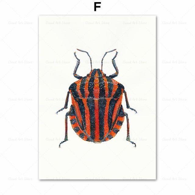 Beetle Insect Bee Nursery Room Canvas Art