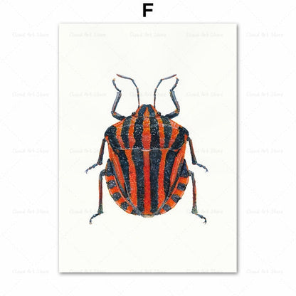 Beetle Insect Bee Nursery Room Canvas Art