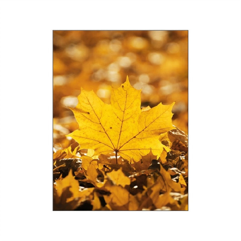 Autumn Forest Pumpkin Maple Leaves Canvas Art