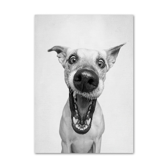 Funny Cute Dog Canvas Art