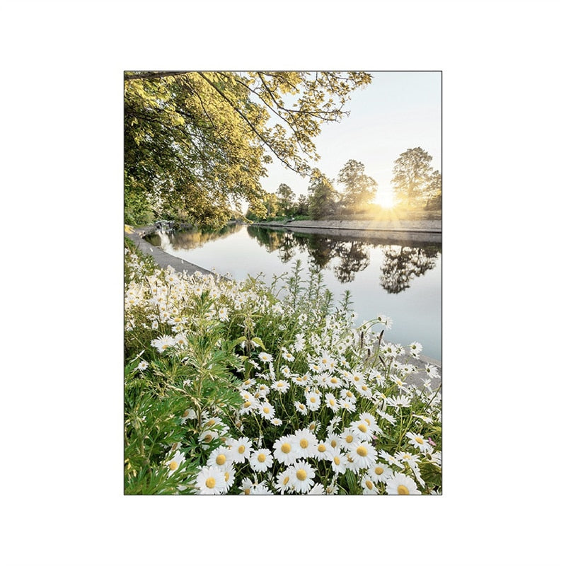 Wild Daisy Canvas Art