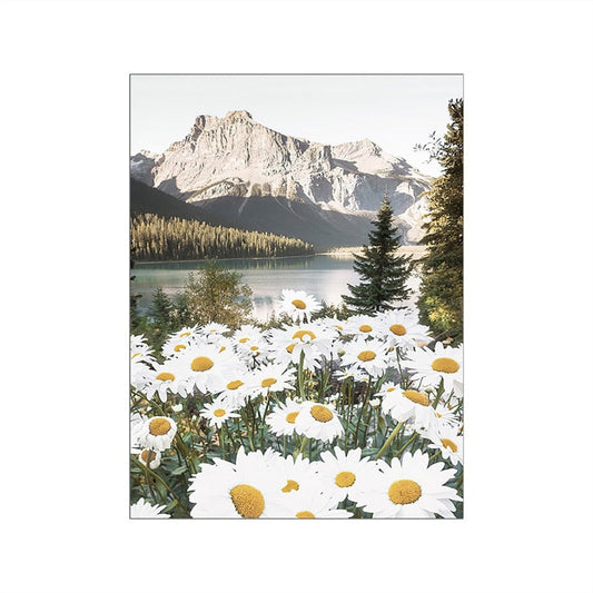 Wild Daisy Canvas Art