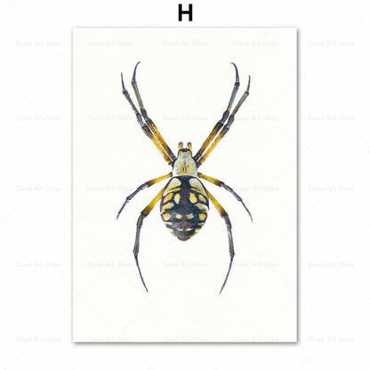 Beetle Insect Bee Nursery Room Canvas Art