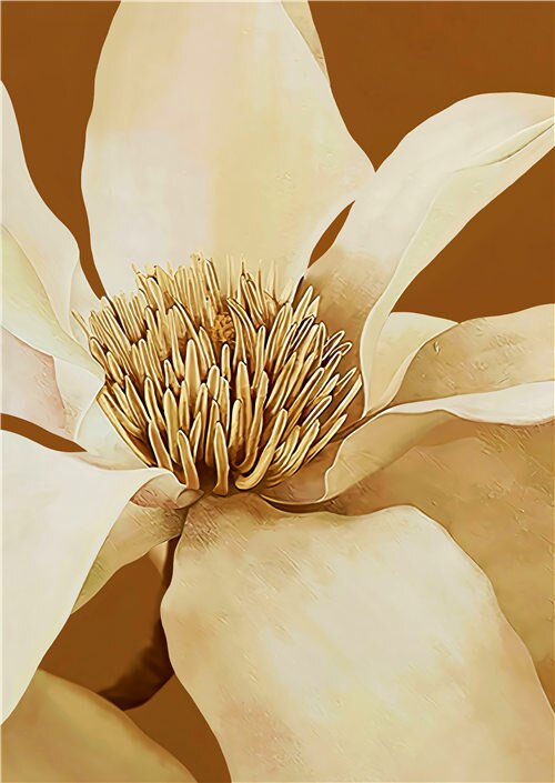 Beige Orange Peony Flower Canvas Art