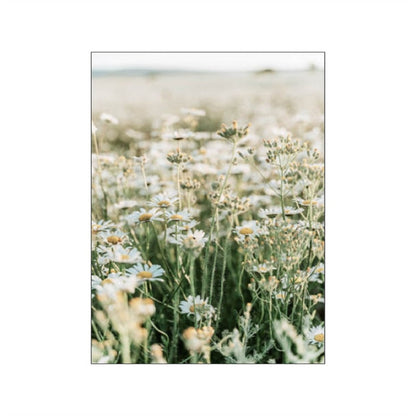 Spring Morning Sunrise Sunflower Canvas Art