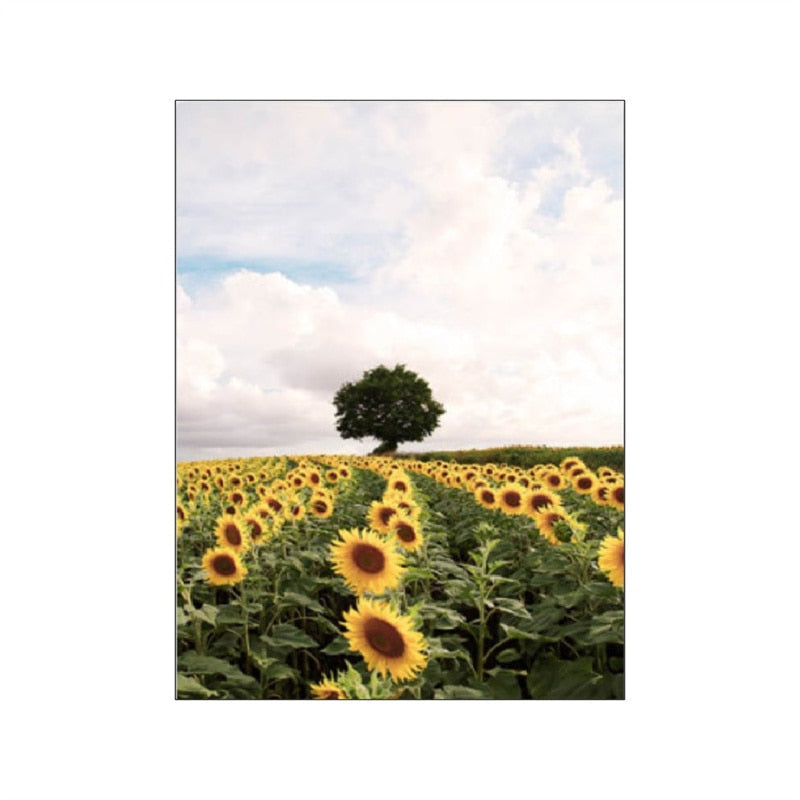 Spring Morning Sunrise Sunflower Canvas Art