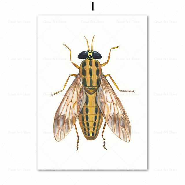 Beetle Insect Bee Nursery Room Canvas Art