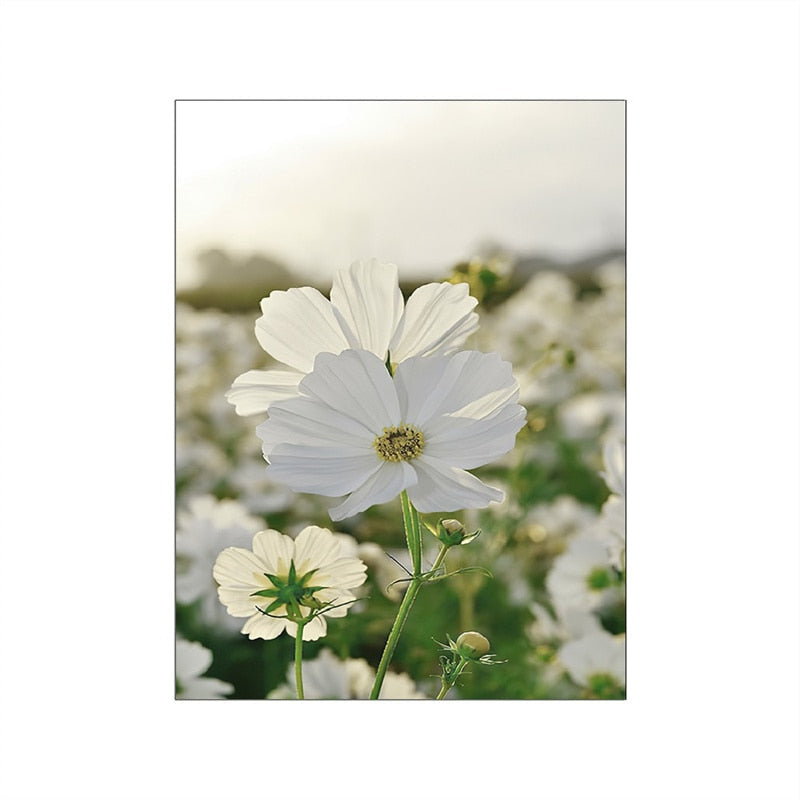 Tulip Countryside Canvas Art