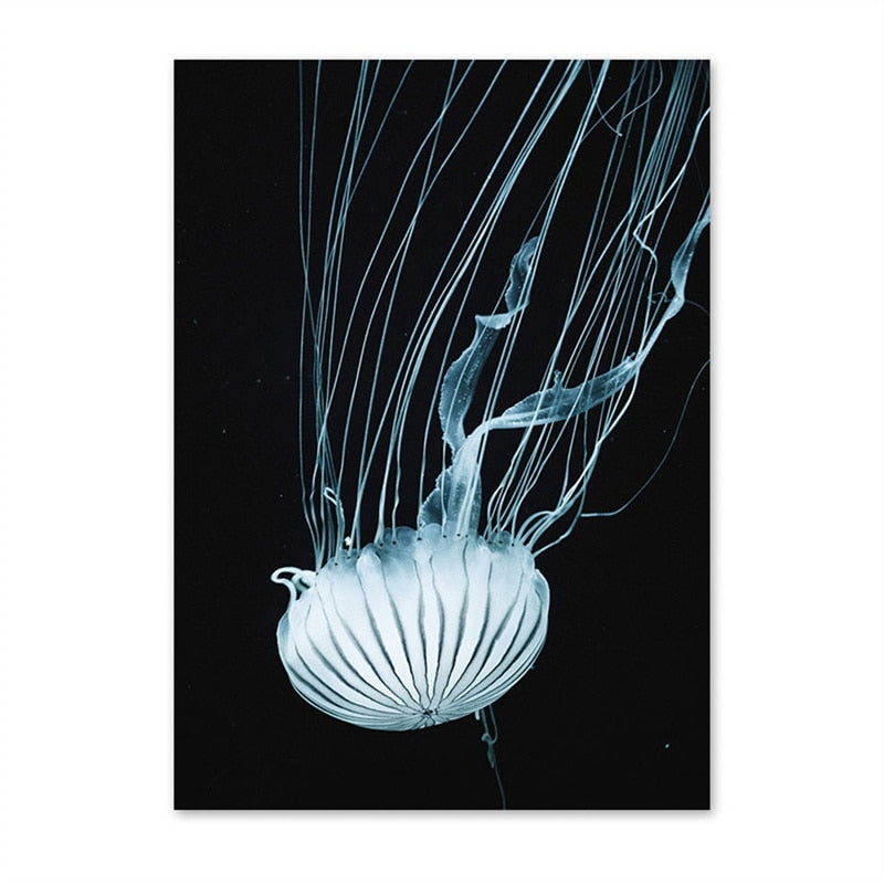 Dolphin Jellyfish Turtle Ocean Canvas Art