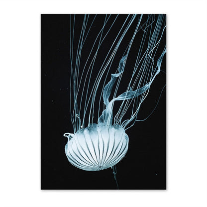 Dolphin Jellyfish Turtle Ocean Canvas Art