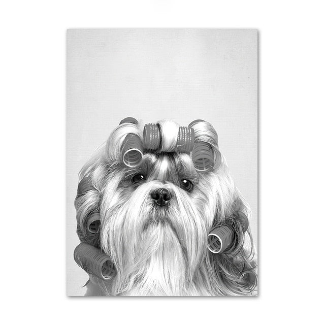 Funny Cute Dog Canvas Art