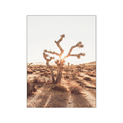 Desert Landscape Cactus Canvas Art