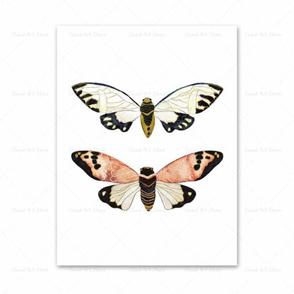 Watercolor Beetle Bug Butterfly Dragonfly Canvas Art