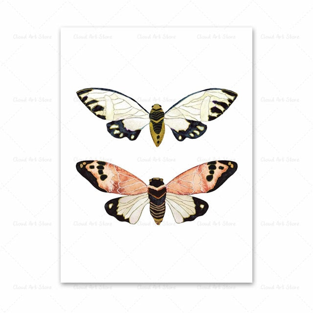 Watercolor Beetle Bug Butterfly Dragonfly Canvas Art