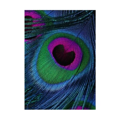 Peacock Feather Canvas Art