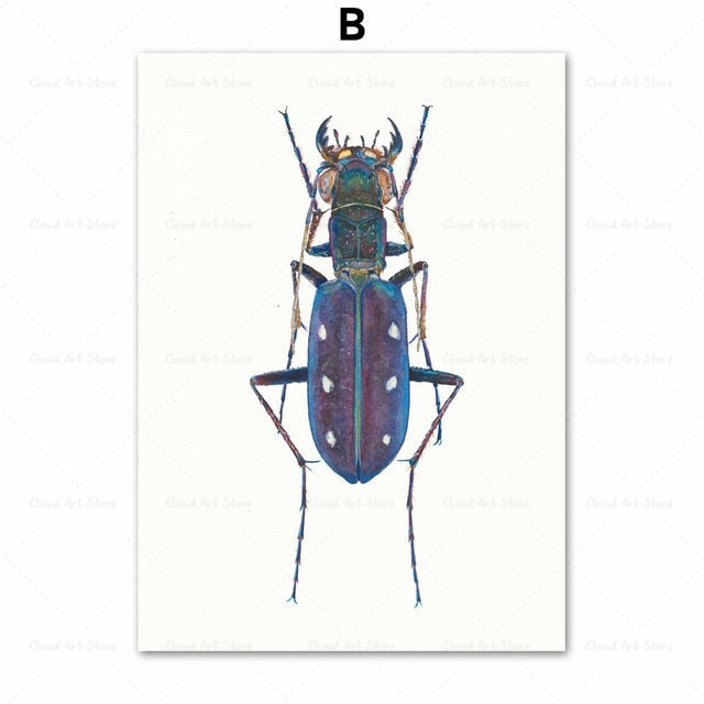 Beetle Insect Bee Nursery Room Canvas Art