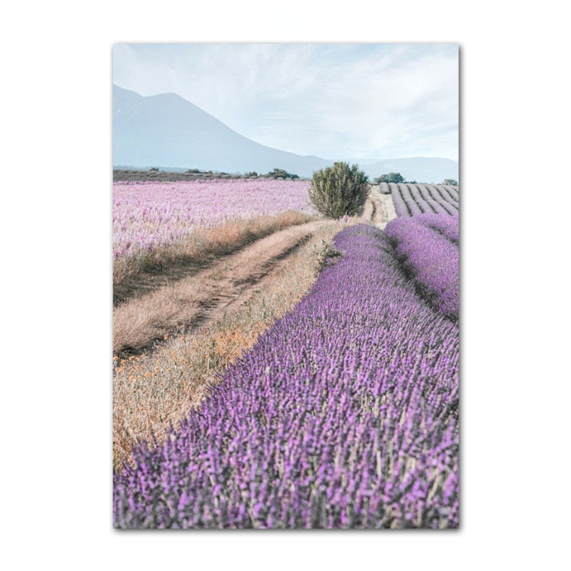 Provence Purple Lavender Canvas Art