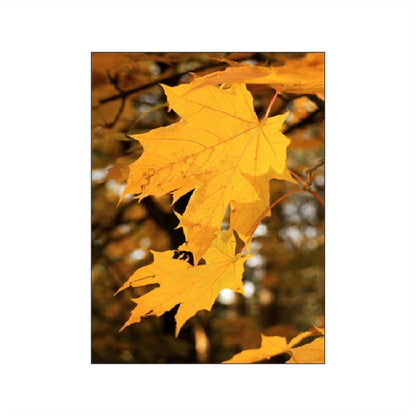 Autumn Forest Pumpkin Maple Leaves Canvas Art