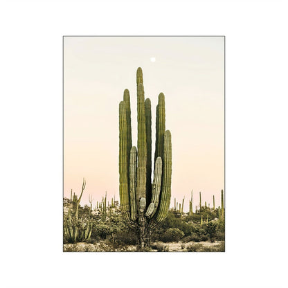 Desert Landscape Cactus Canvas Art