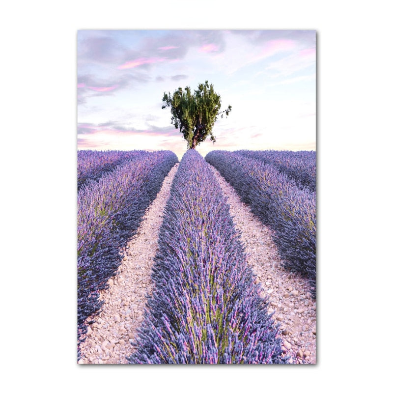 Provence Purple Lavender Canvas Art