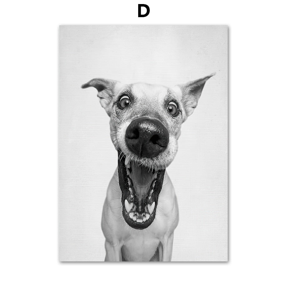 Black and White Cute Dog Canvas Art