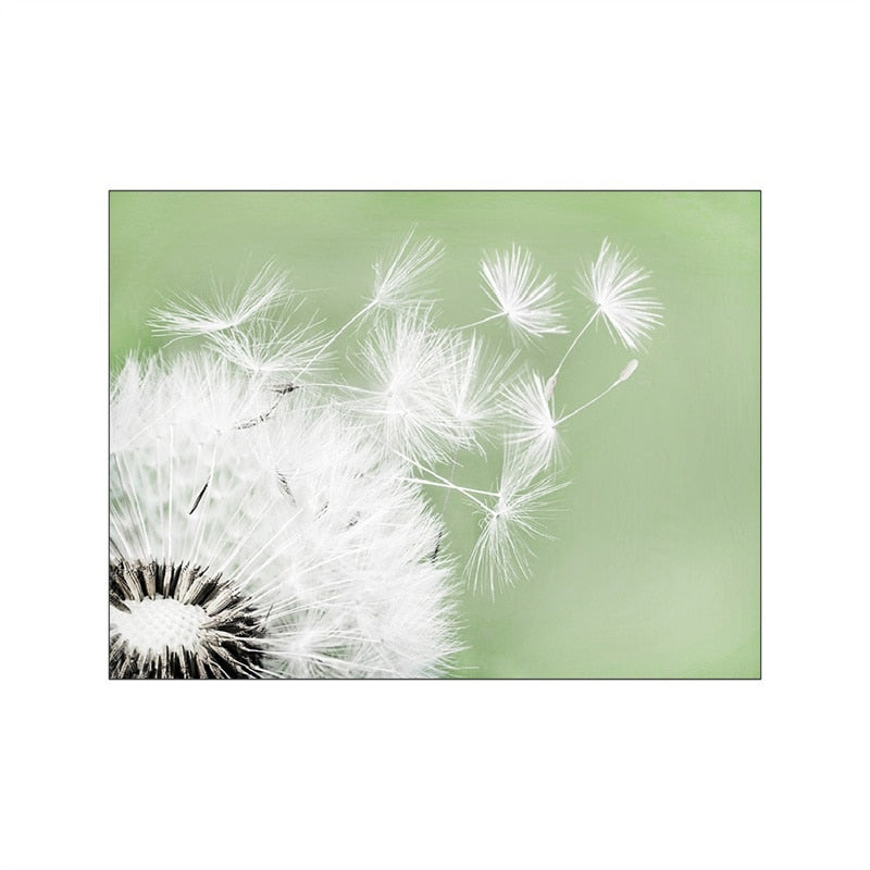 Wild Daisy Canvas Art