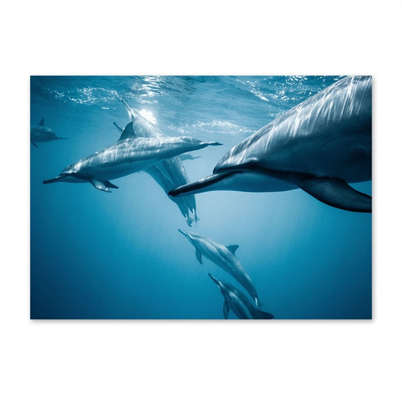 Dolphin Jellyfish Turtle Ocean Canvas Art