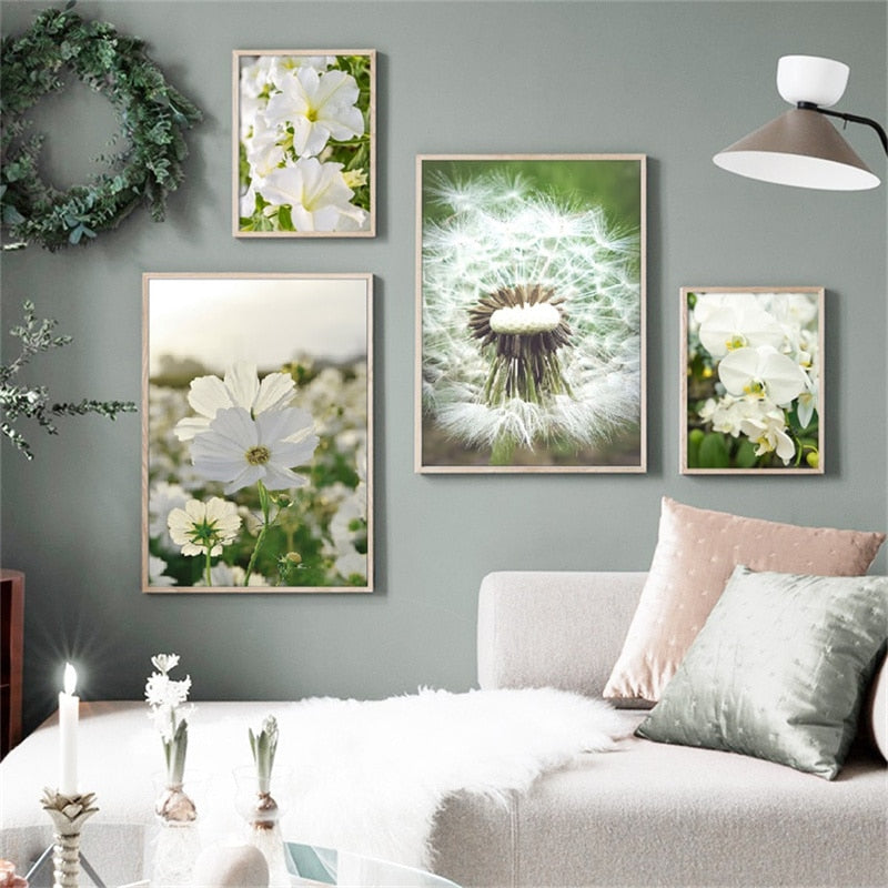 Wild Daisy Canvas Art