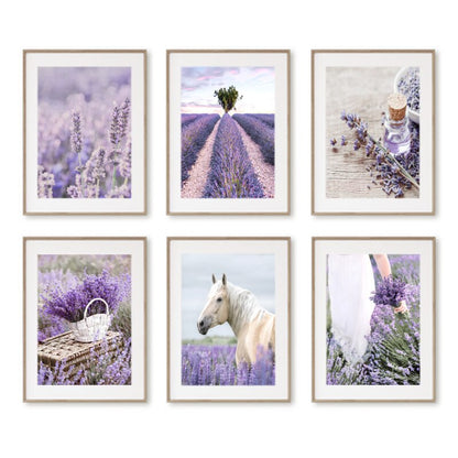 Provence Purple Lavender Canvas Art