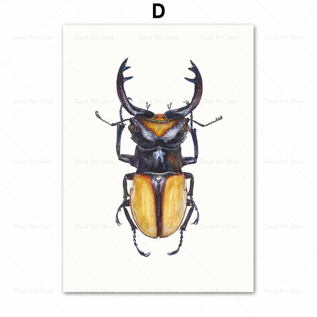 Beetle Insect Bee Nursery Room Canvas Art