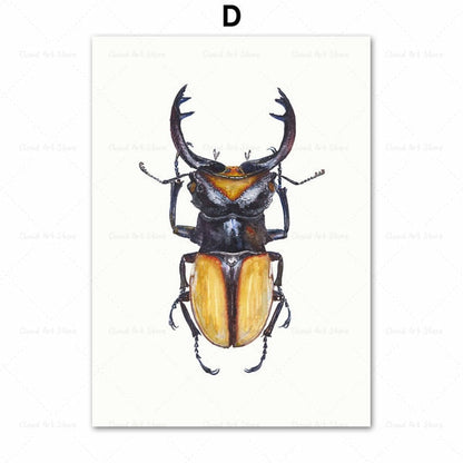 Beetle Insect Bee Nursery Room Canvas Art