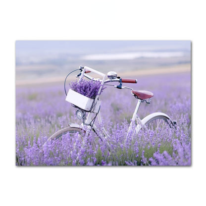 Provence Purple Lavender Canvas Art