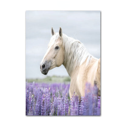 Provence Purple Lavender Canvas Art