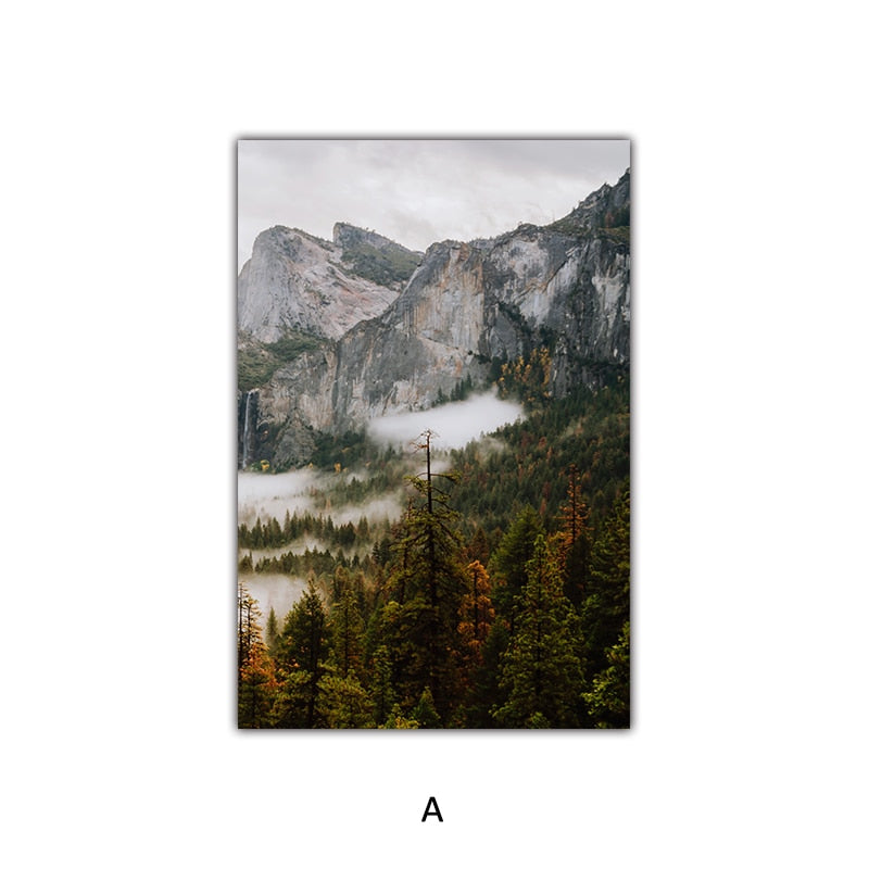 Scenery Cloudy Fog Mountain and Forest Canvas Art