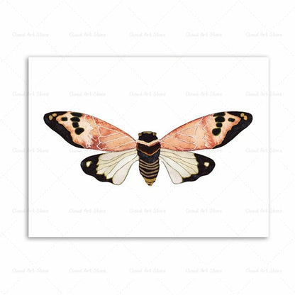 Watercolor Beetle Bug Butterfly Dragonfly Canvas Art