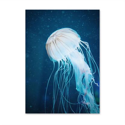 Dolphin Jellyfish Turtle Ocean Canvas Art