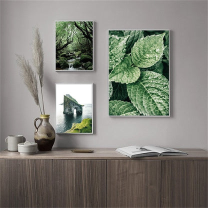 Forest Landscape Canvas Art