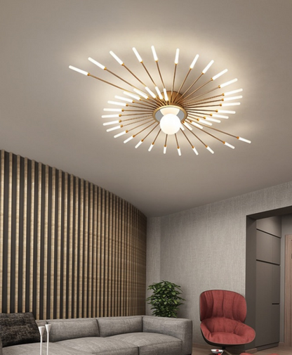 Modern Ceiling Light