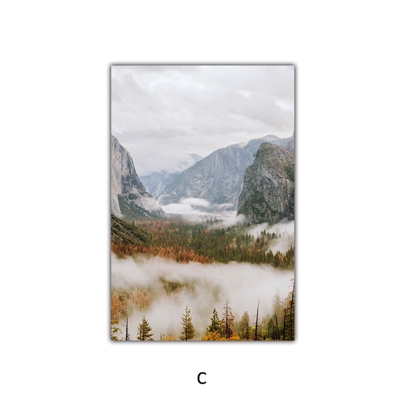 Scenery Cloudy Fog Mountain and Forest Canvas Art