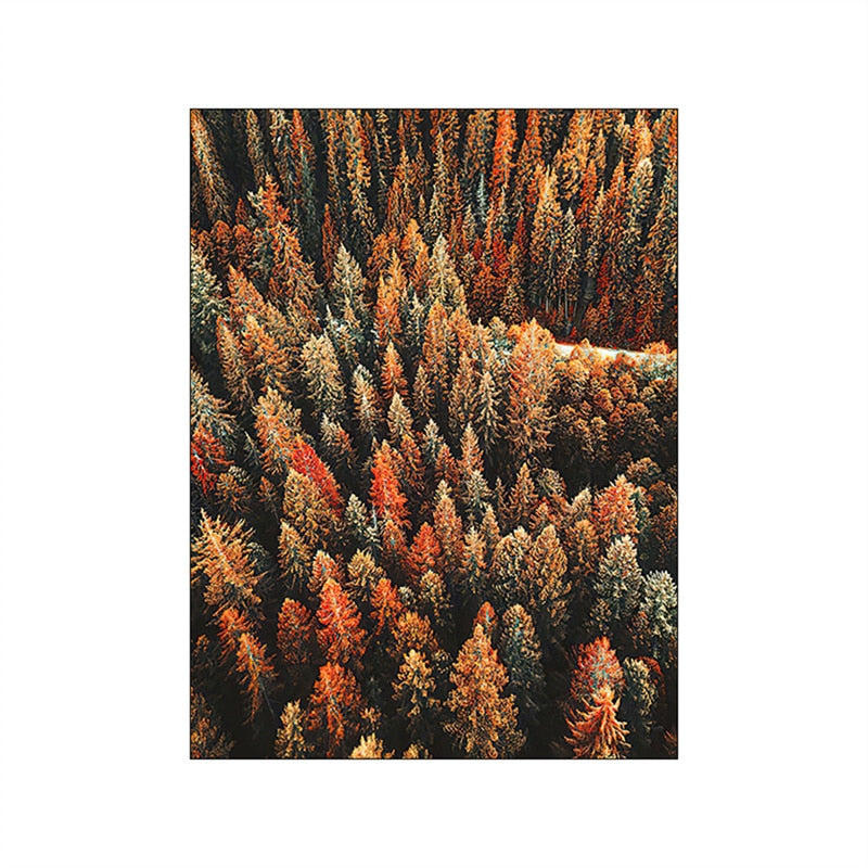 Autumn Forest Pumpkin Maple Leaves Canvas Art