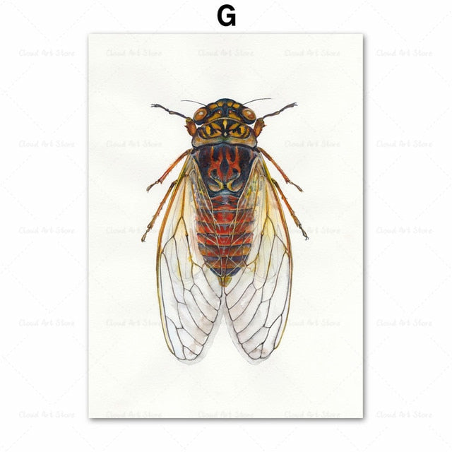 Beetle Insect Bee Nursery Room Canvas Art