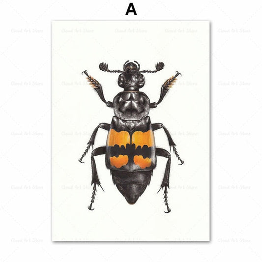 Beetle Insect Bee Nursery Room Canvas Art