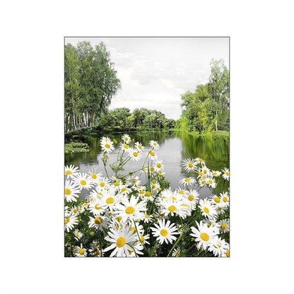 Wild Daisy Canvas Art