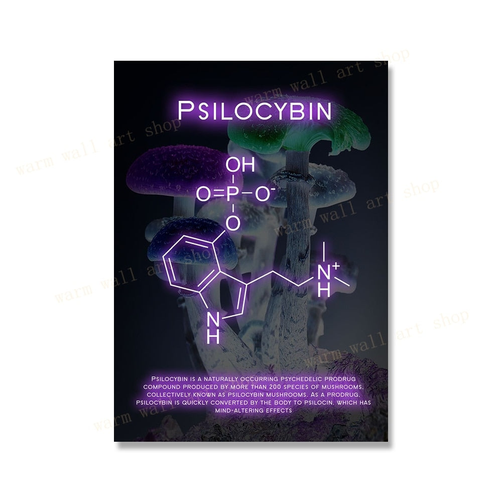 Psychedelic Molecule Canvas Art