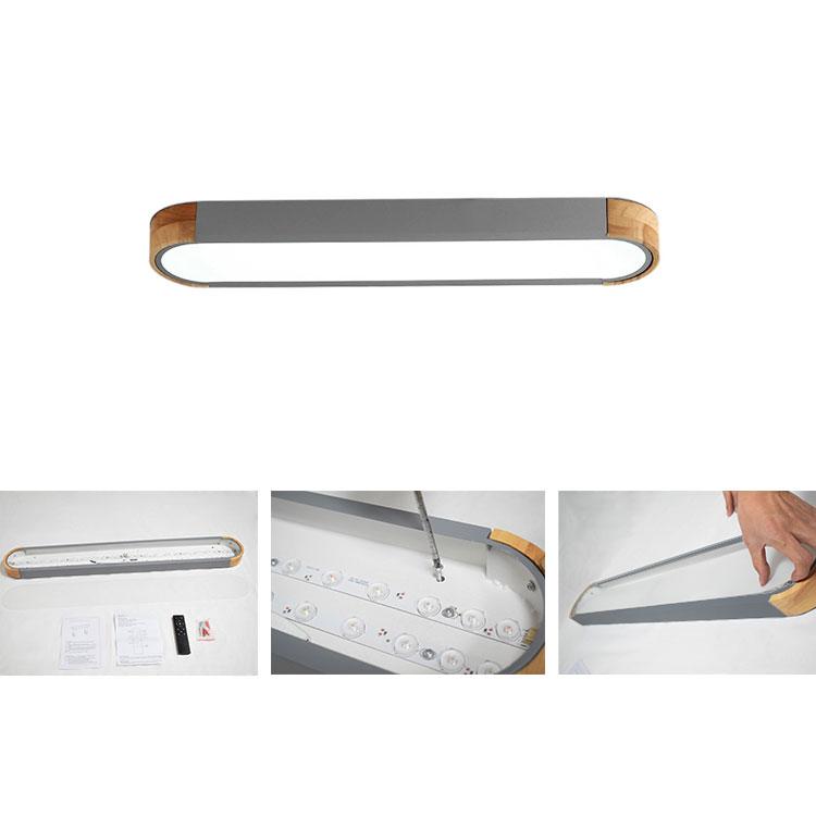 Modern Dimmable Integrated LED Ceiling Light